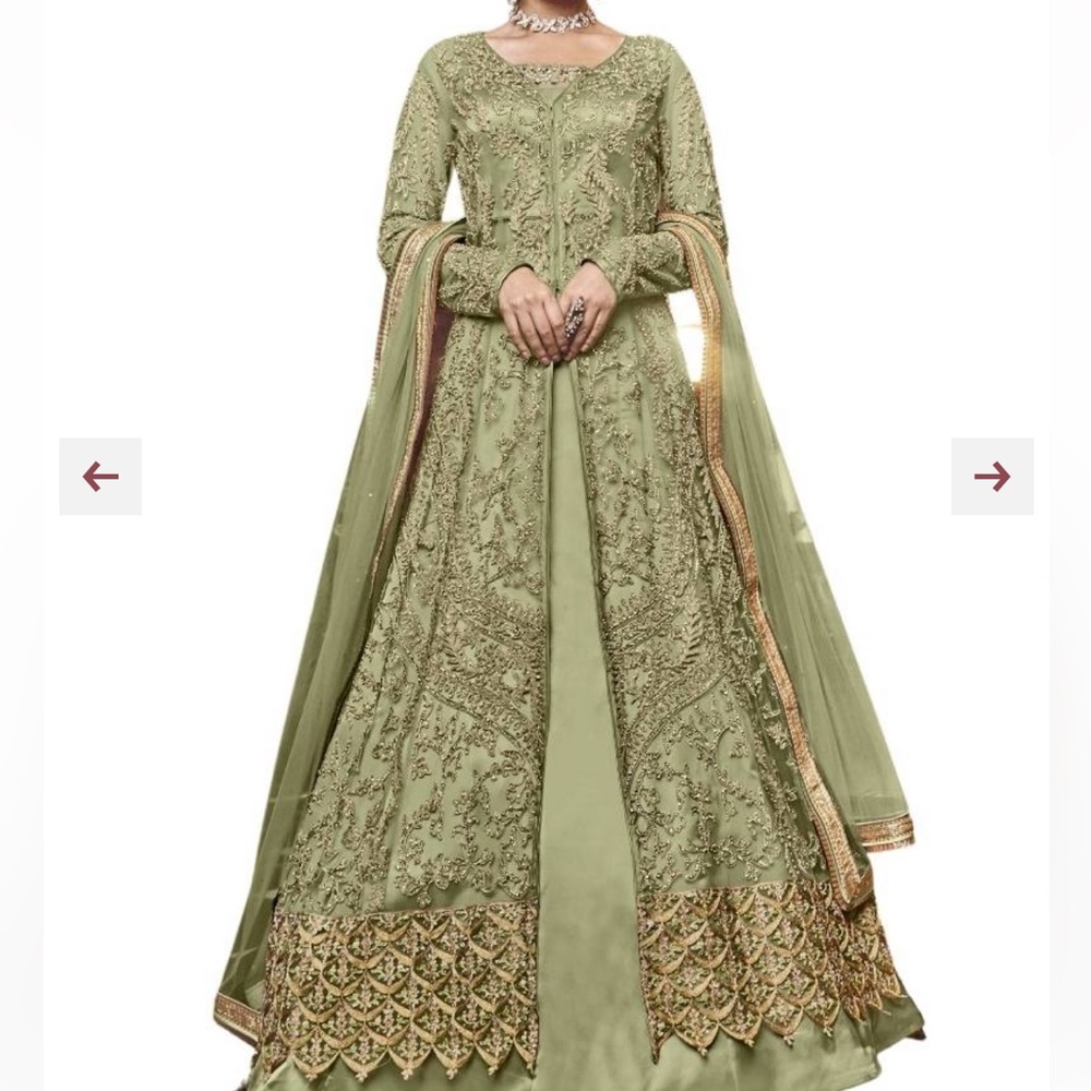 Pakistani Indian fancy dress